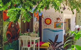 Hostal Palomino Ecohouse & Camping