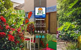 Hostal Palomino Ecohouse & Camping